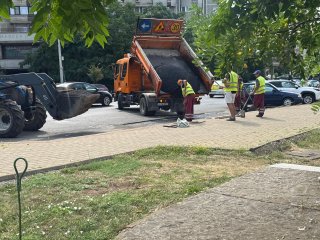 Terți parcare fost complex stejar strada G. Muzicescu