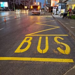 Strada Anatasie Panu